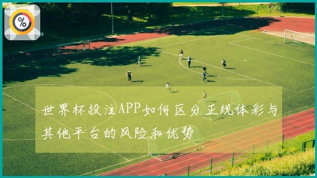 世界杯投注APP如何区分正规体彩与其他平台的风险和优势