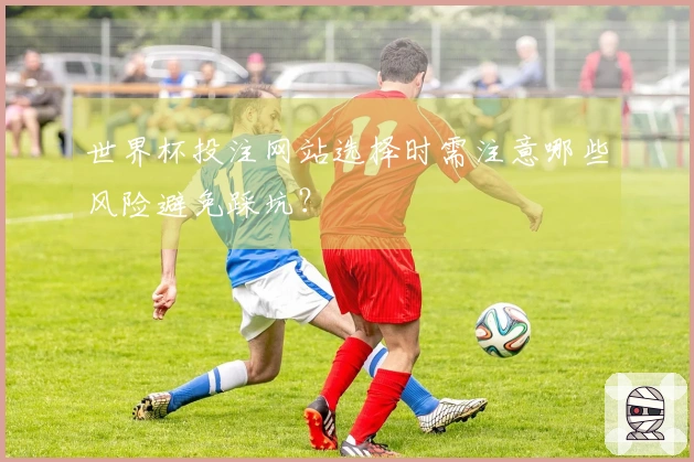 世界杯投注网站选择时需注意哪些风险避免踩坑？