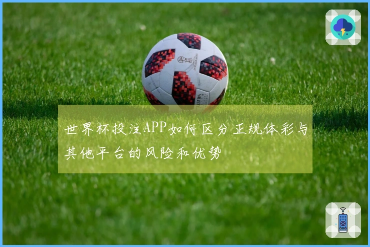世界杯投注APP如何区分正规体彩与其他平台的风险和优势
