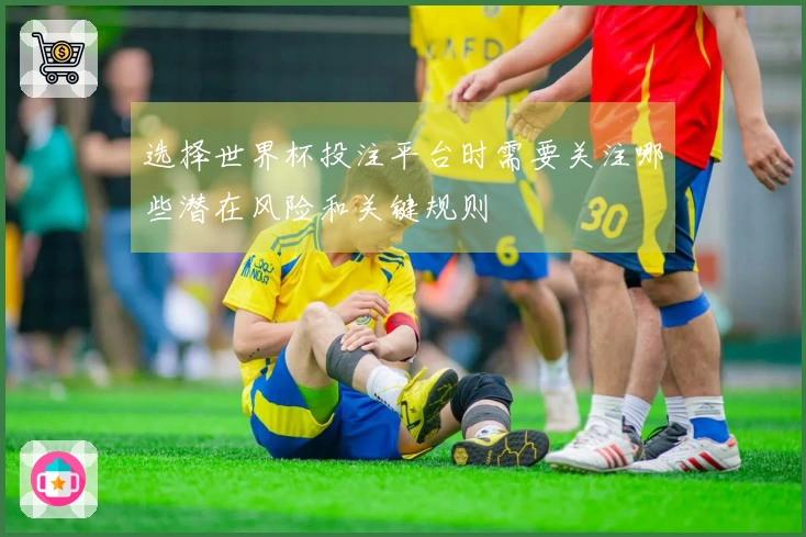 选择世界杯投注平台时需要关注哪些潜在风险和关键规则